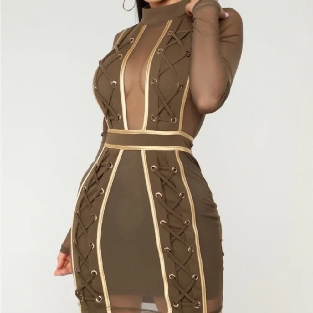 Fashion Nova Stylish Sheer Panel Bodycon Mini Dress